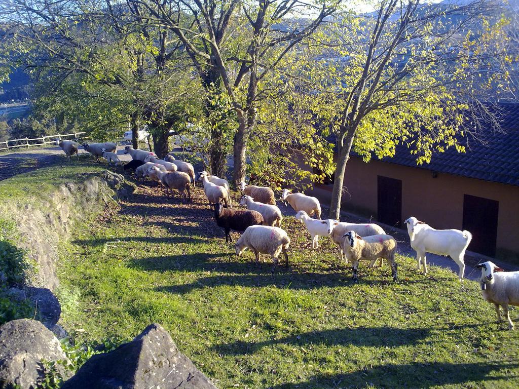Casa De Colonies La Cadamont Vandrarhem Sant Joan les Fonts Exteriör bild